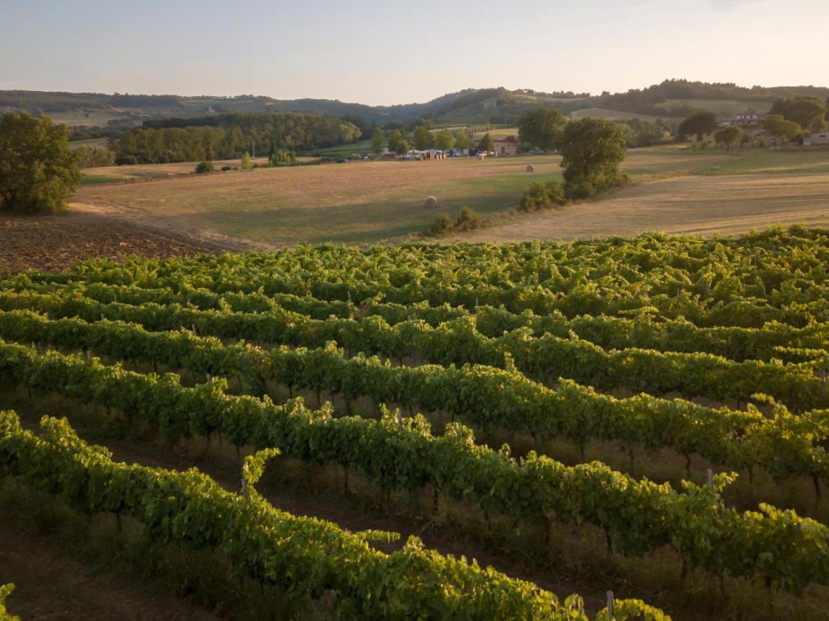 Agriturismo Consalvi Valentina マルシャーノ エクステリア 写真