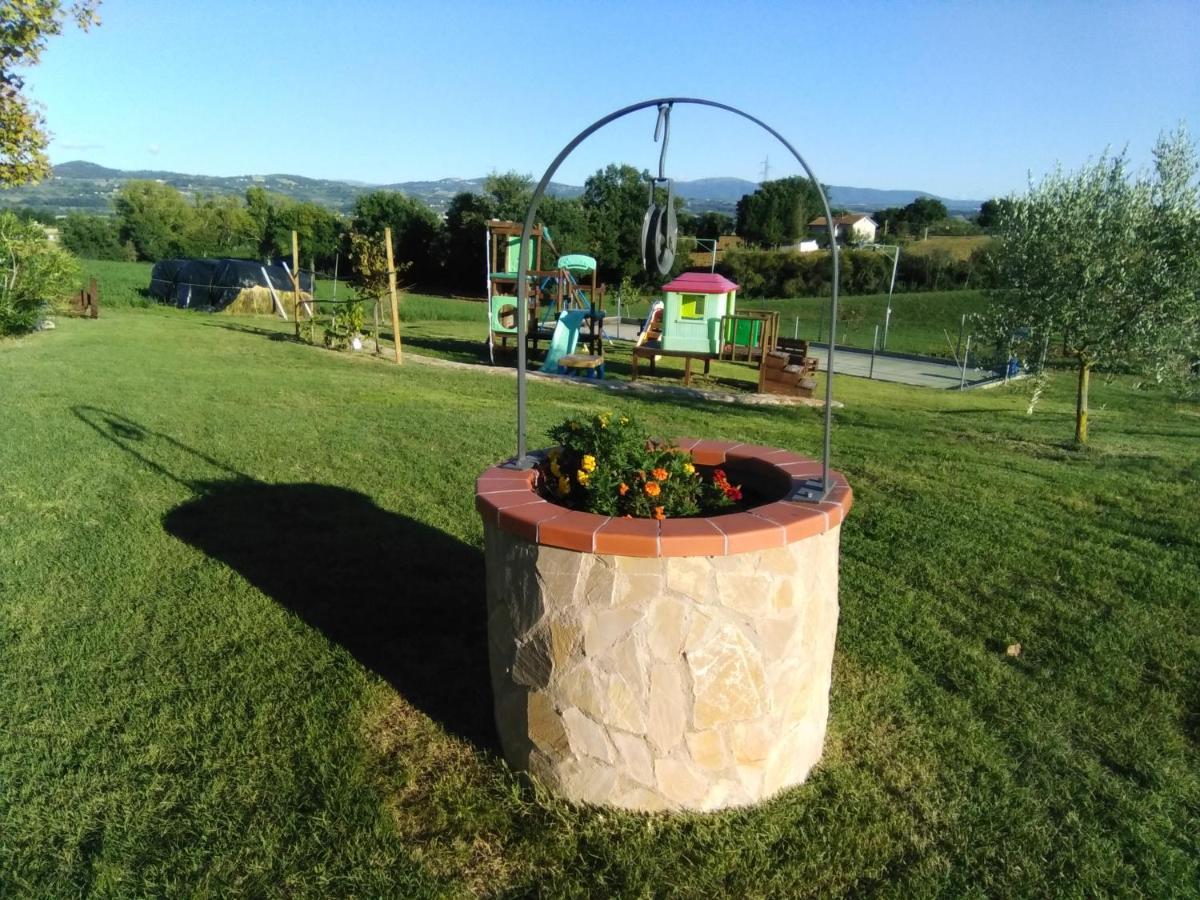 Agriturismo Consalvi Valentina マルシャーノ エクステリア 写真