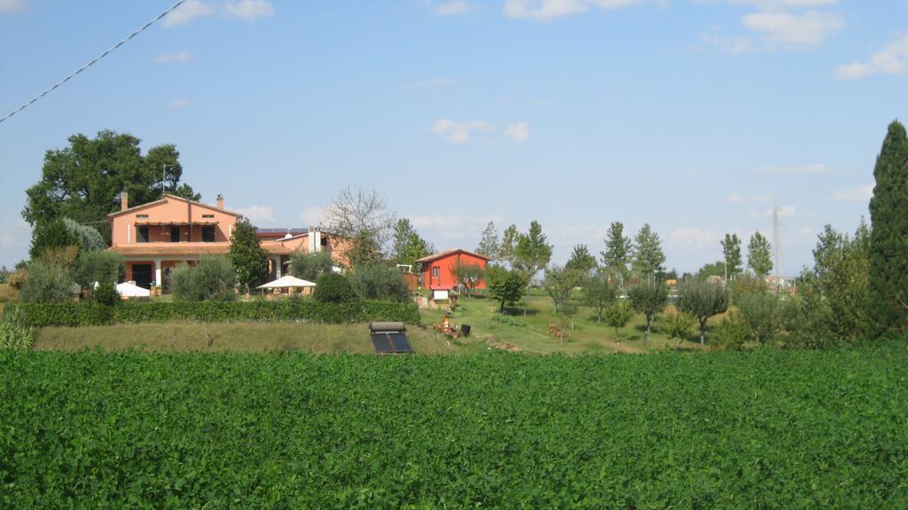 Agriturismo Consalvi Valentina マルシャーノ エクステリア 写真