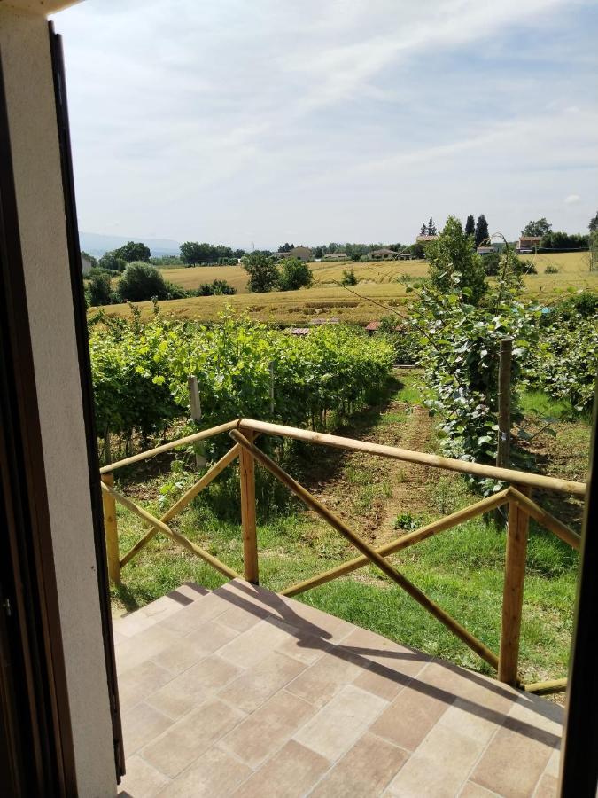 Agriturismo Consalvi Valentina マルシャーノ エクステリア 写真