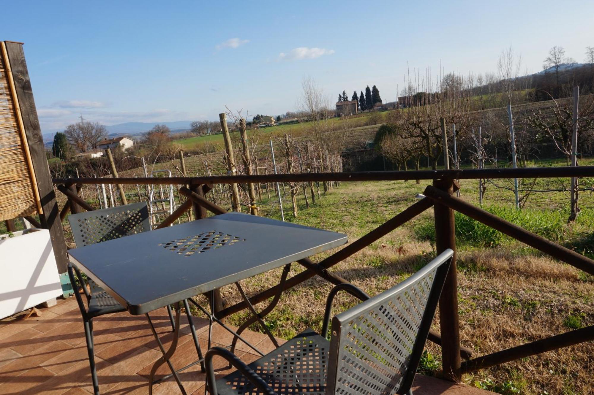 Agriturismo Consalvi Valentina マルシャーノ エクステリア 写真