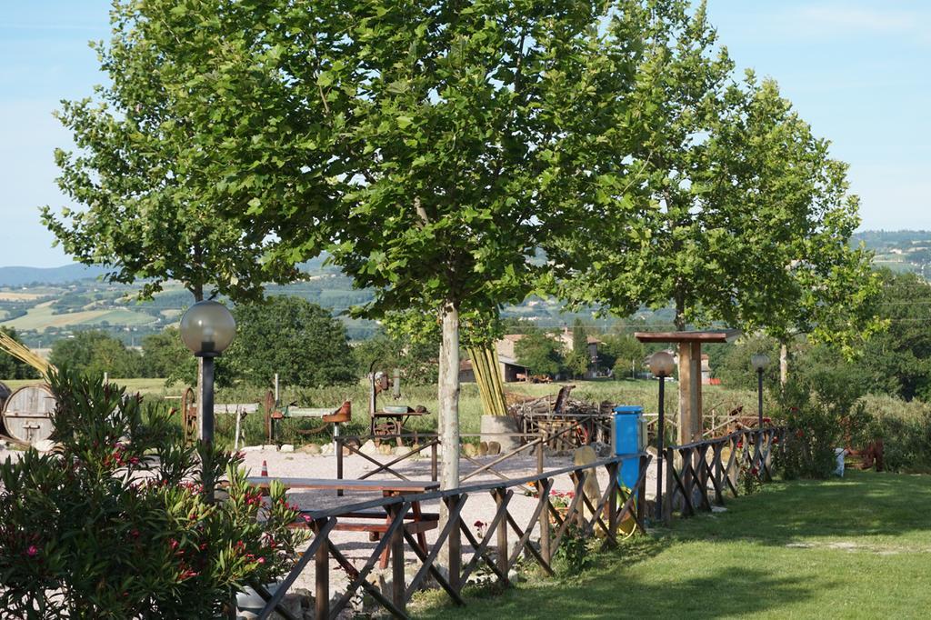 Agriturismo Consalvi Valentina マルシャーノ エクステリア 写真