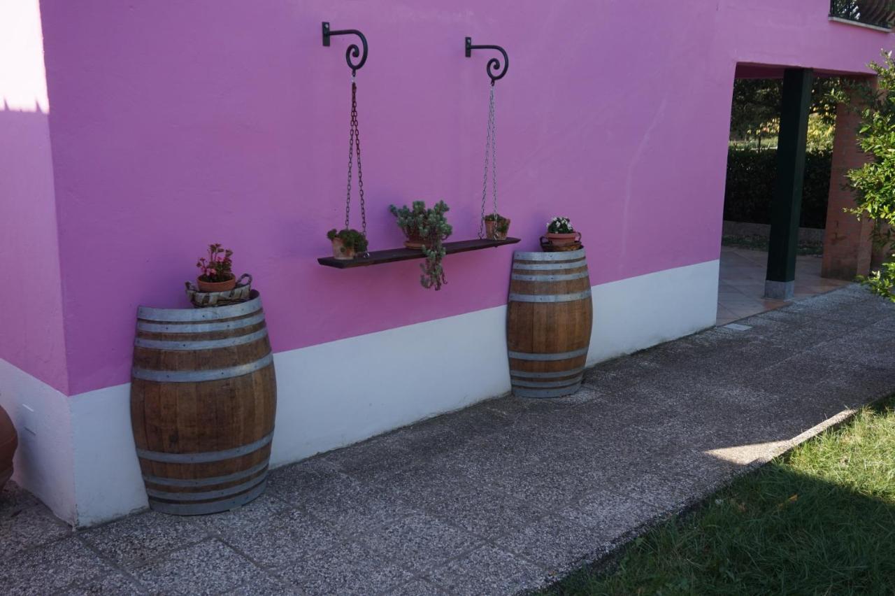 Agriturismo Consalvi Valentina マルシャーノ エクステリア 写真